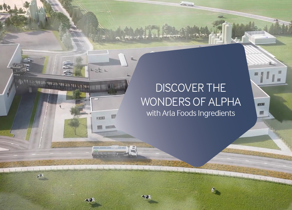 Discover the wonders of Alpha